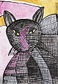 Streifenkatze.jpg