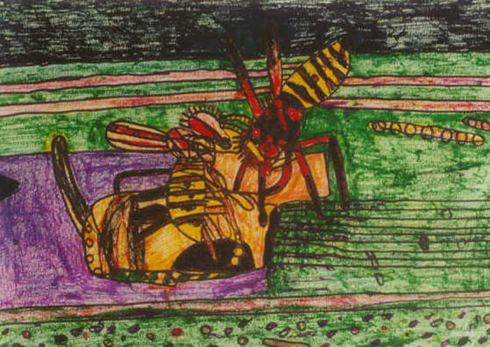 Insekten.jpg